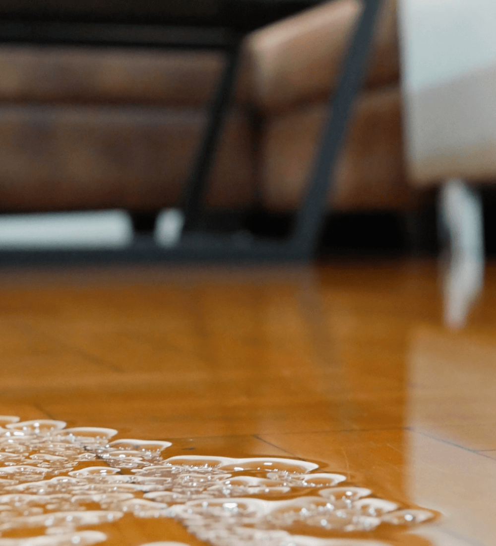 imgi_200_Flood-Damage-Repair-Services-What-to-Expect-During-Water-Damage-Restoration