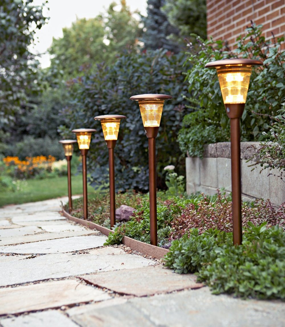 95092728_1335373816664199_8113631424772308992_n