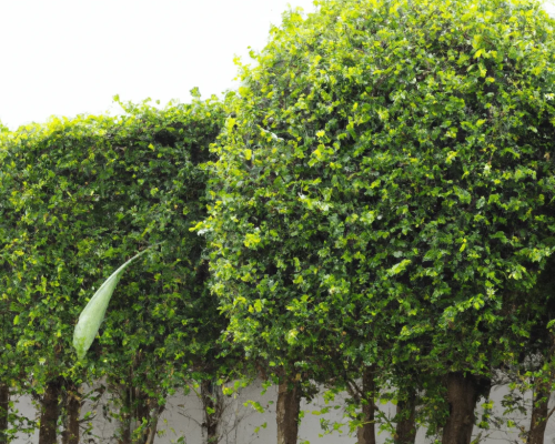 Expert tree pruning and maintenance