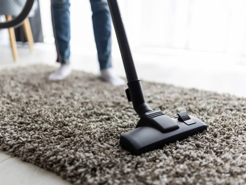 Top-Rated Carpet Cleaning Services in Gastonia, NC