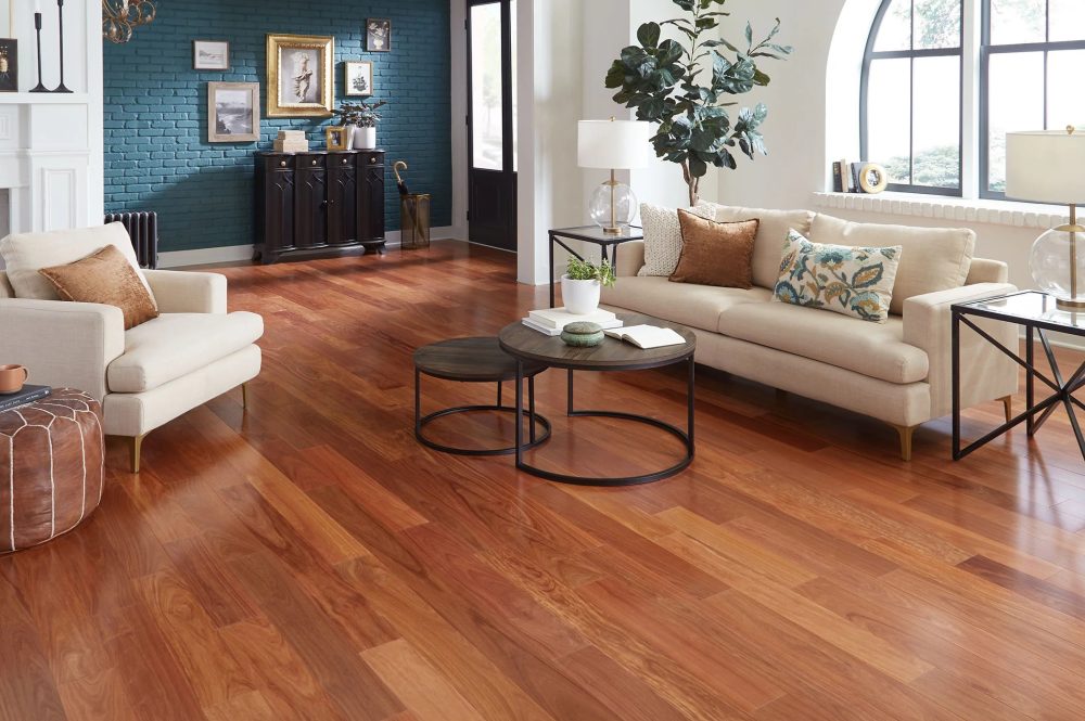 imgi_231_10046122-h_wsnne2 imgi_231_10046122-h_wsnne2