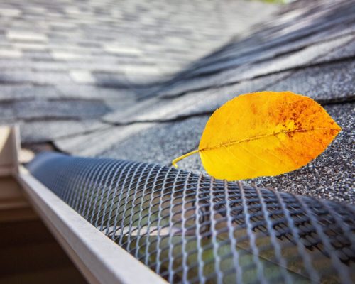 Top-Notch Leaf Guards For Homes In Spring, TX