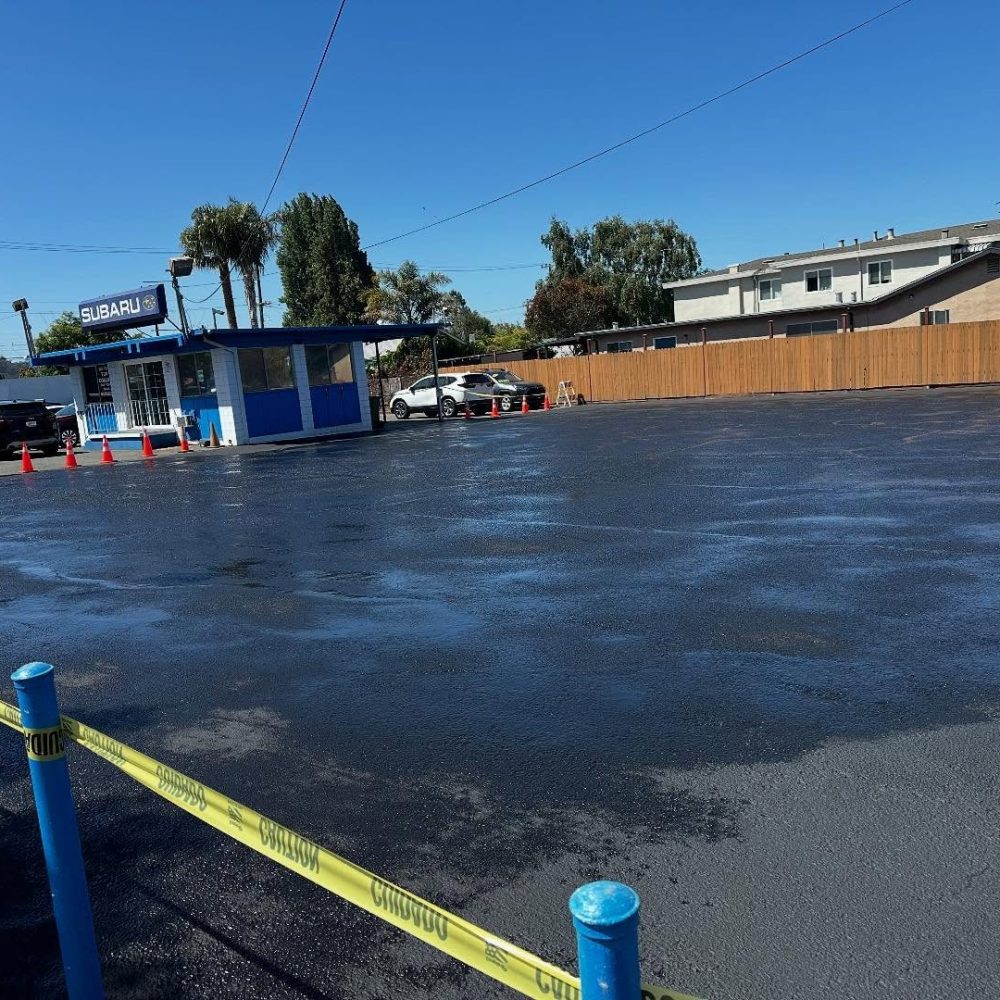 466793231_561645186447672_5609105456414248736_n