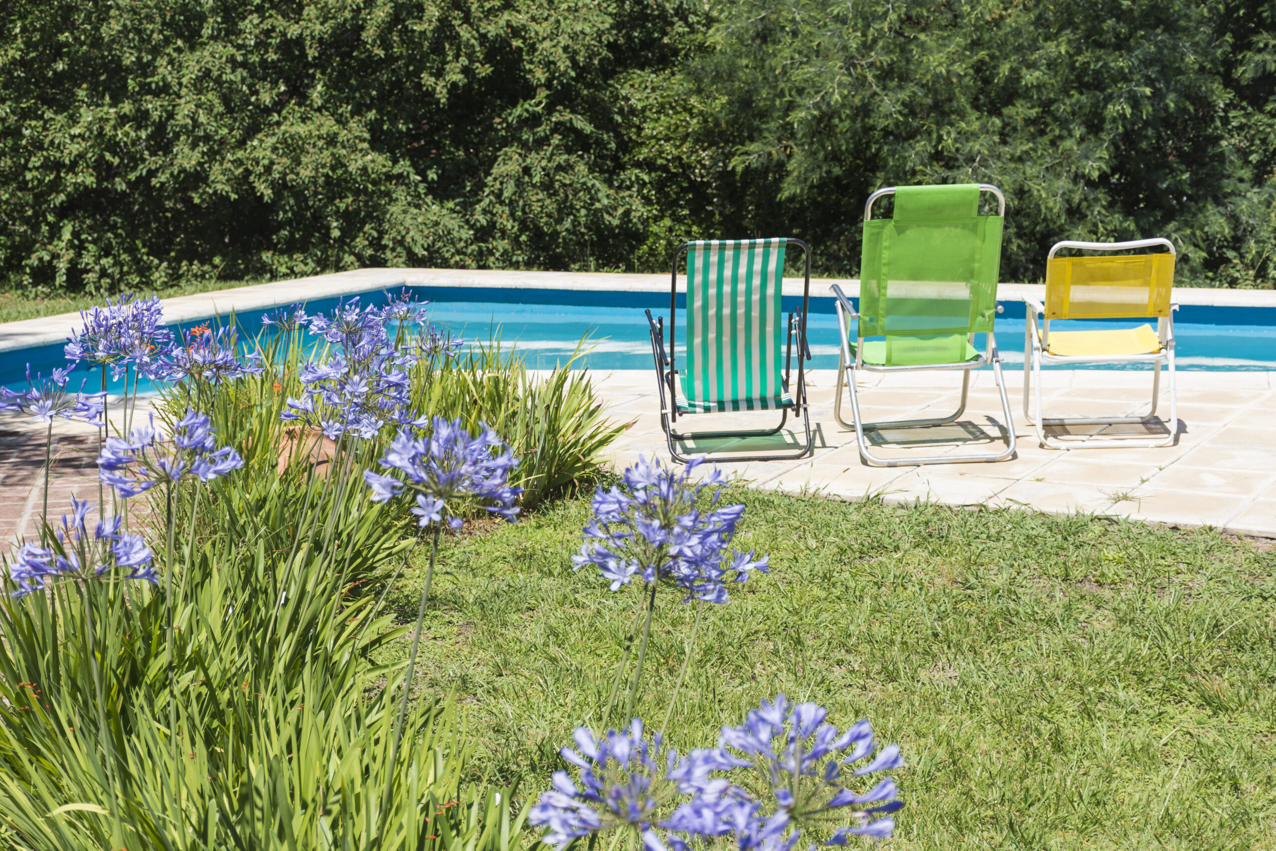 Trusted Pool Remodels in Sanford: Transform Your Backyard Oasis