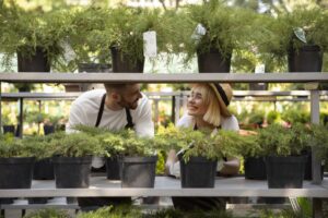 Transform Your Outdoor Space with Expert Landscaping in Longwood