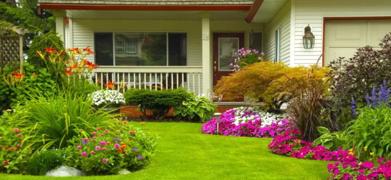 Landscape in Sanford: Beautifying Outdoor Spaces with Professional Touch