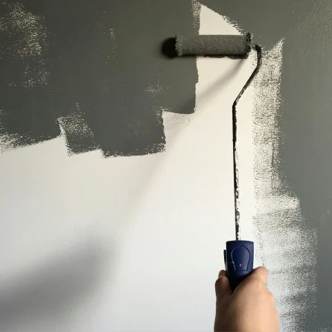 interior wall painting in Webster, TX