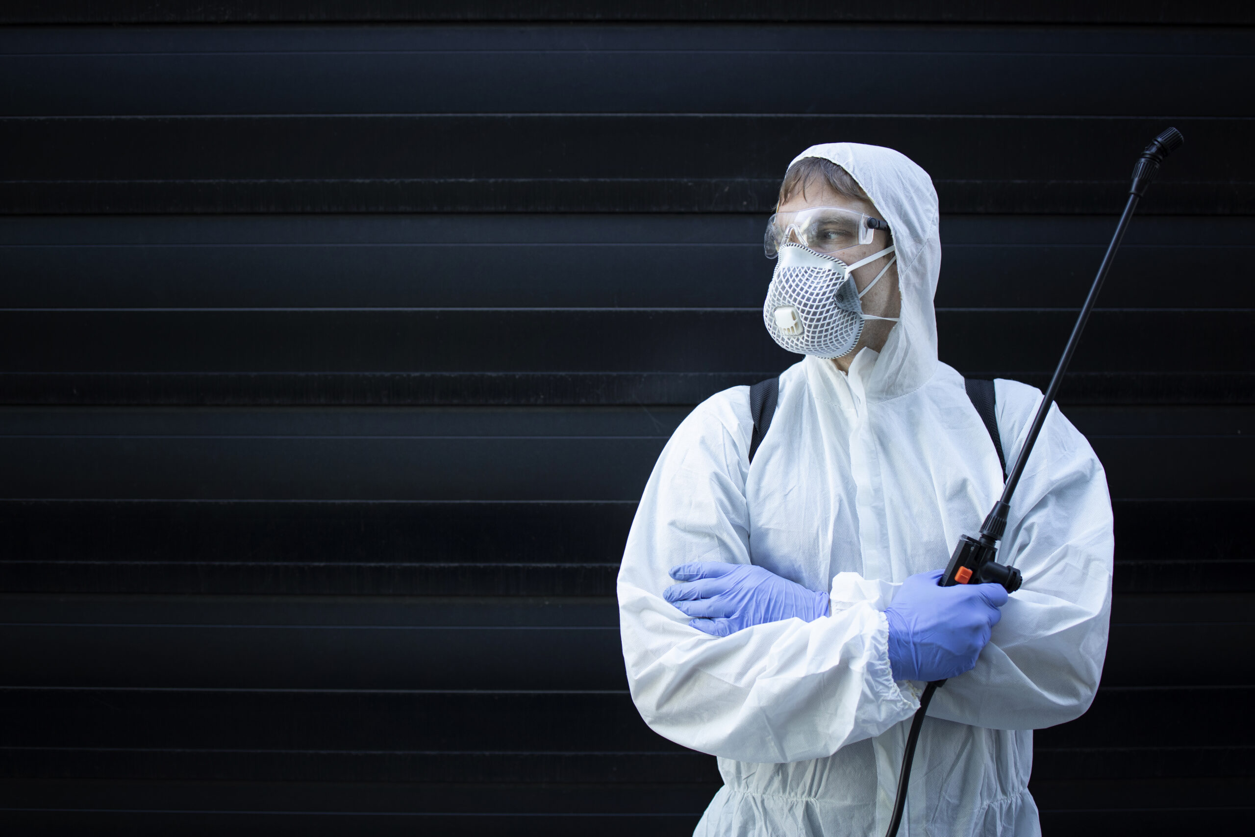 Trusted Mold Experts in Oakland, CA