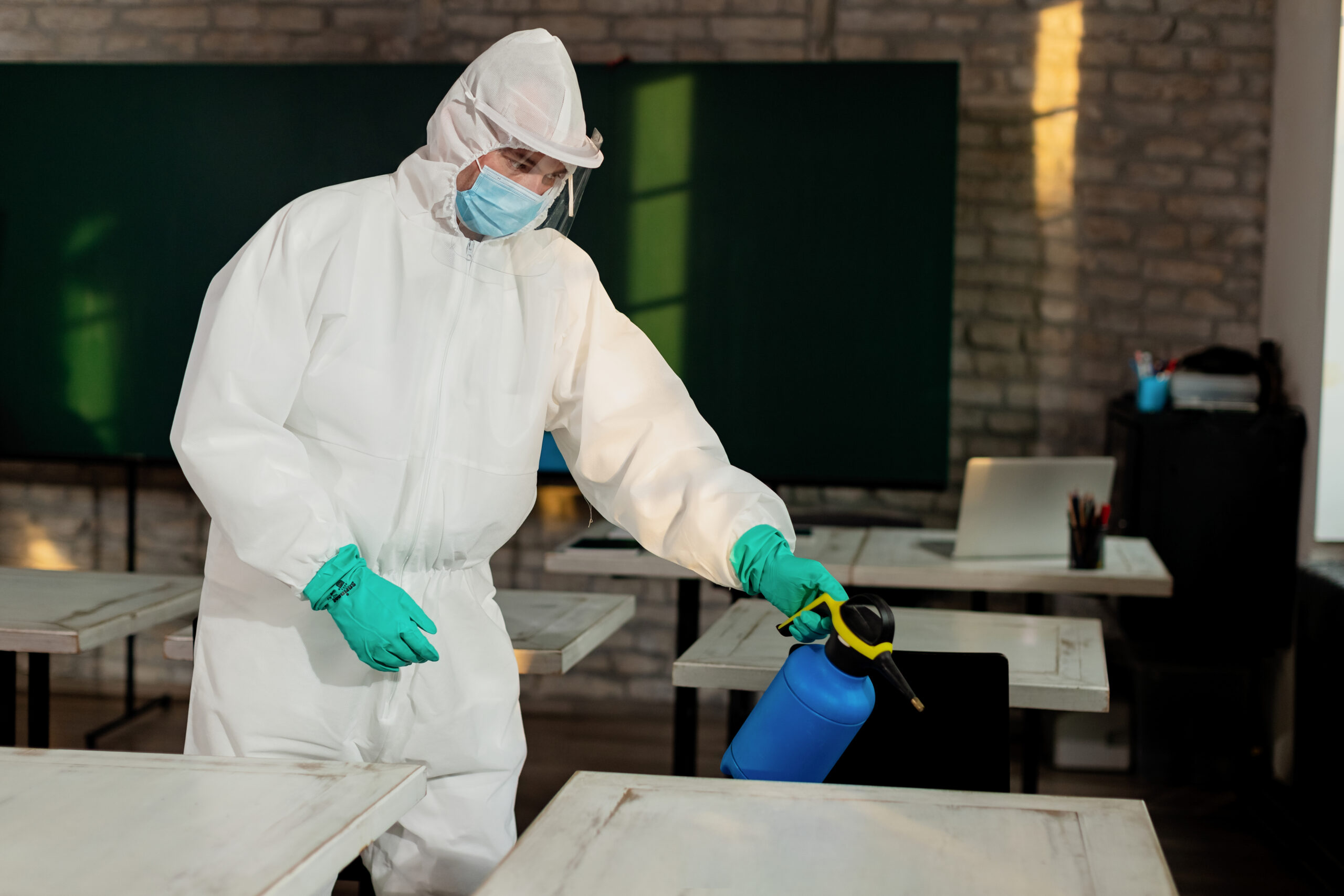 Livingston County’s Expert Toxic Mold Removal Services  