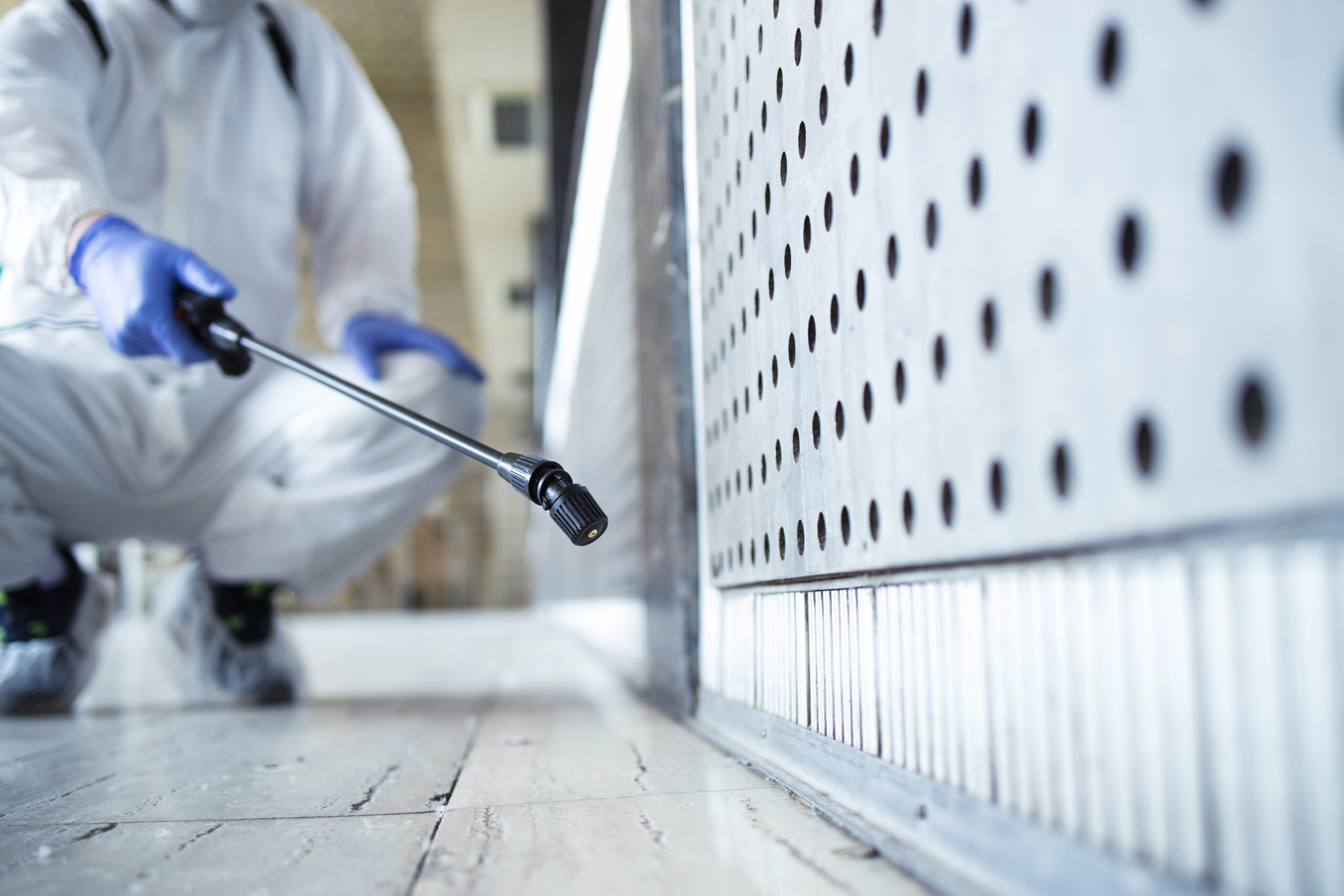 Mold Inspection and Remediation Services in Oakland County 