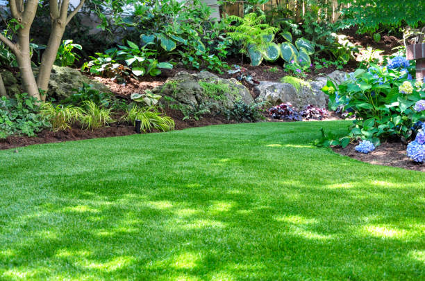 Reliable and Innovative Landscaping Services in Turlock, CA