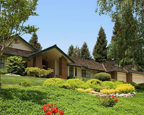 Lawn Care and Landscaping for Homes in Lodi, CA