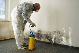 Reliable Home Mold Testing in Newport, KY