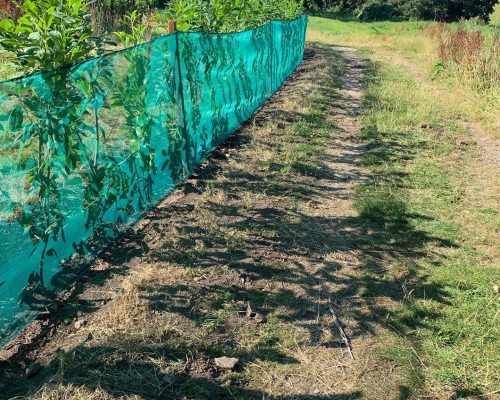 472121872_575461311961119_4873536407296924821_n