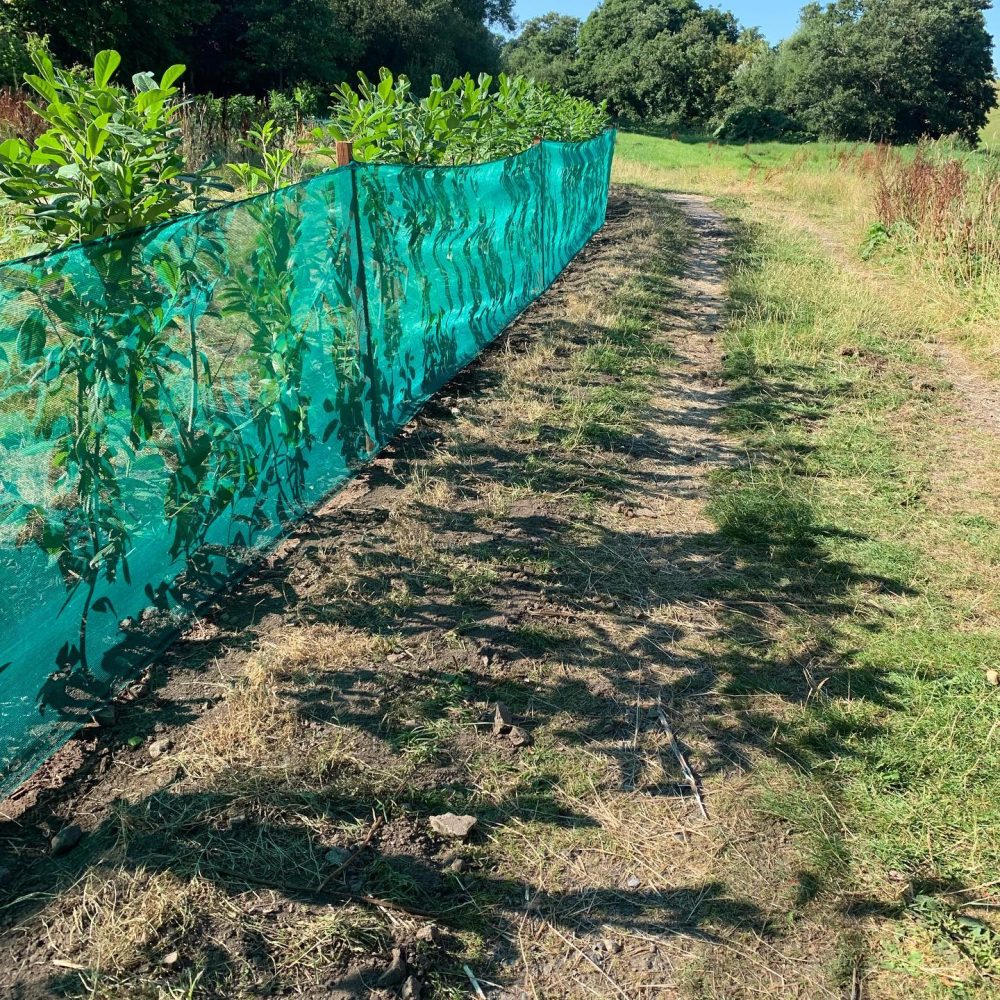 472121872_575461311961119_4873536407296924821_n