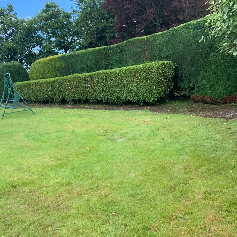 472269719_575470678626849_3297629108146344332_n