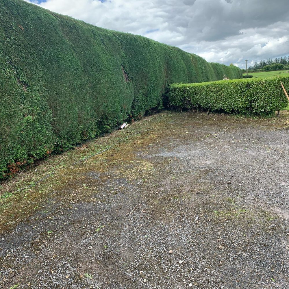 472375685_575470408626876_3067660181171323942_n