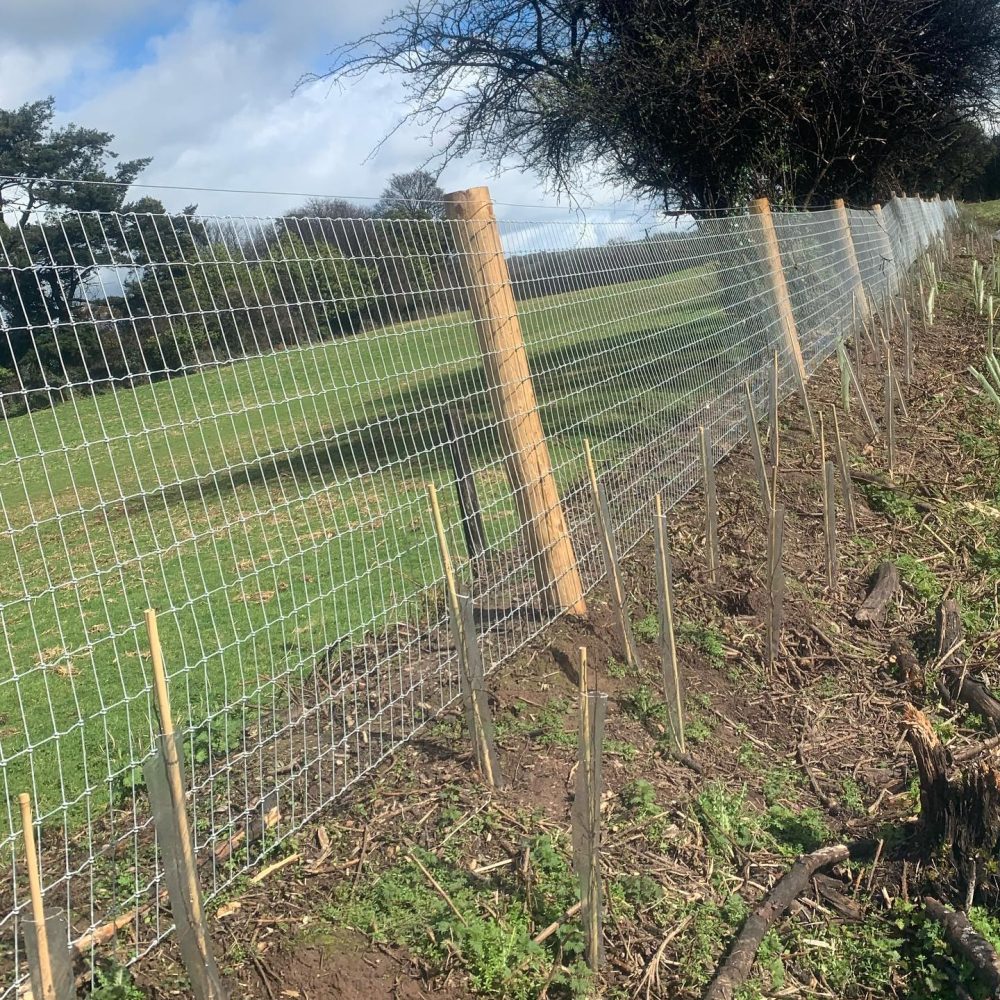 473188662_581169801390270_2834524665443843523_n