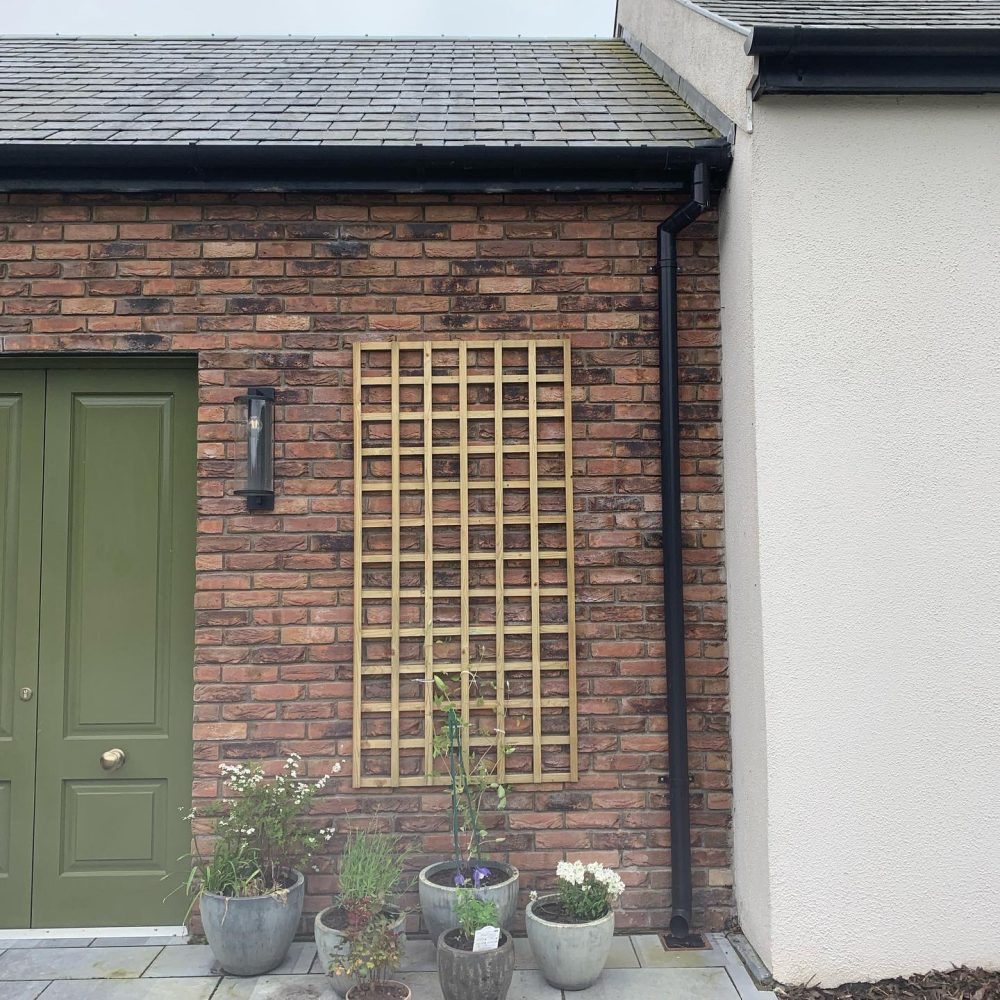 473553203_583516854488898_3750949908241920973_n