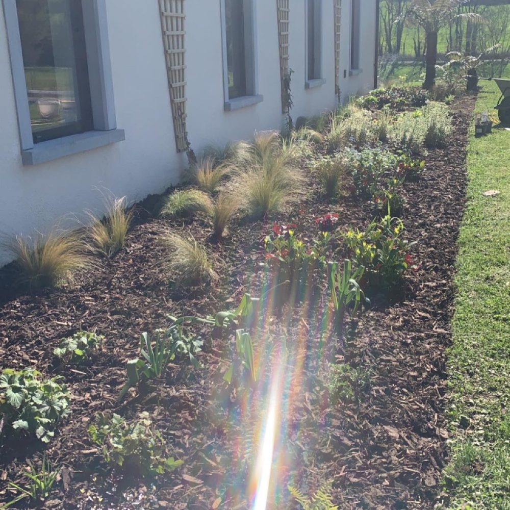 473659378_583516821155568_4364026407802055064_n