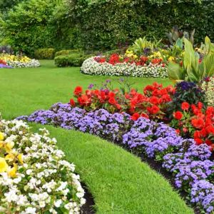 Premium Flower Bed Design and Installation in Plantation, FL