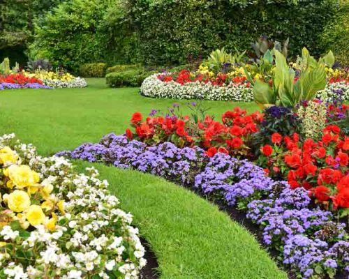 Premium Flower Bed Design and Installation in Plantation, FL