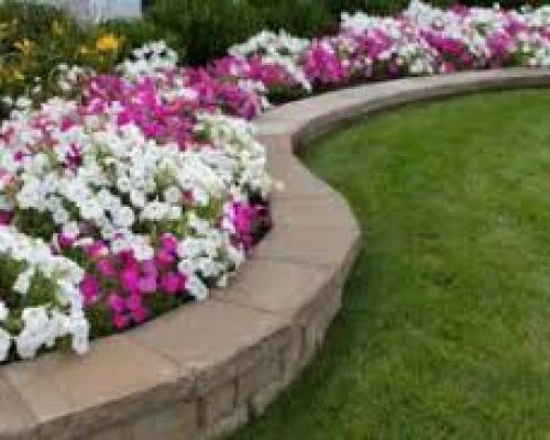 Skilled Residential Landscaping Company in Hollywood, FL