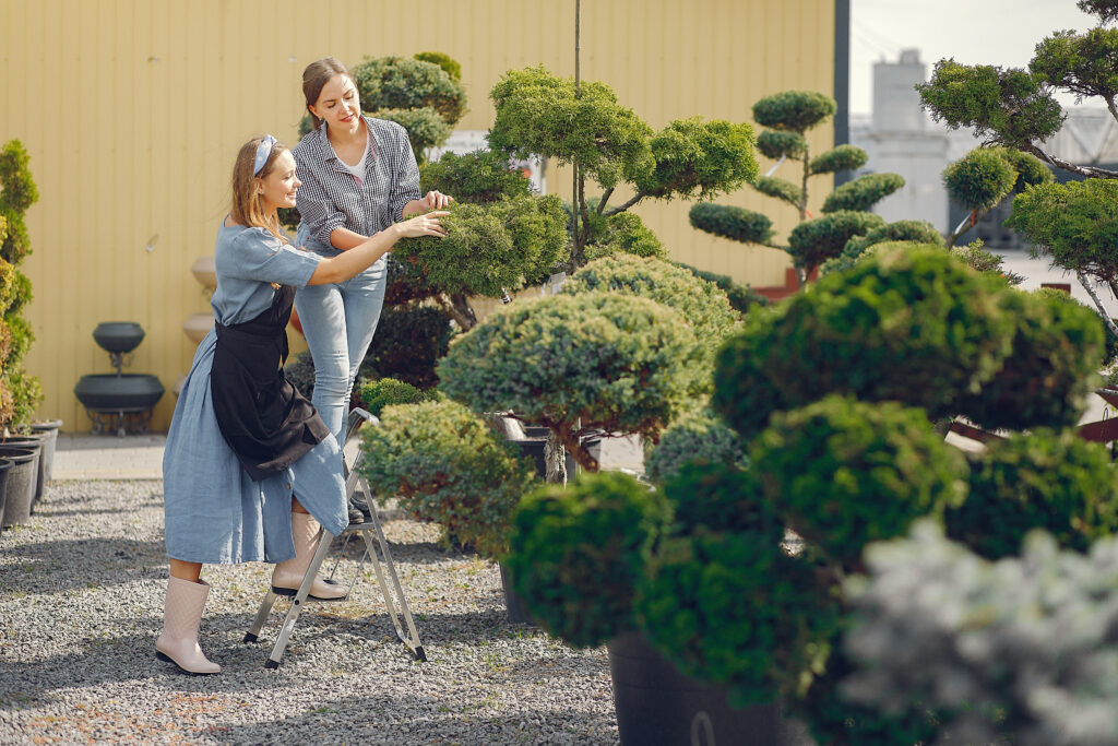Transform Your Yard: Landscaping Near Me Morgan Hill