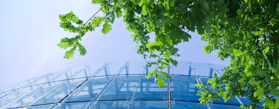 Garden Irrigation Contractors in San Jose, CA | Expert Services