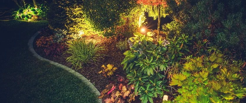LED Landscape Lighting Services in Saratoga, California