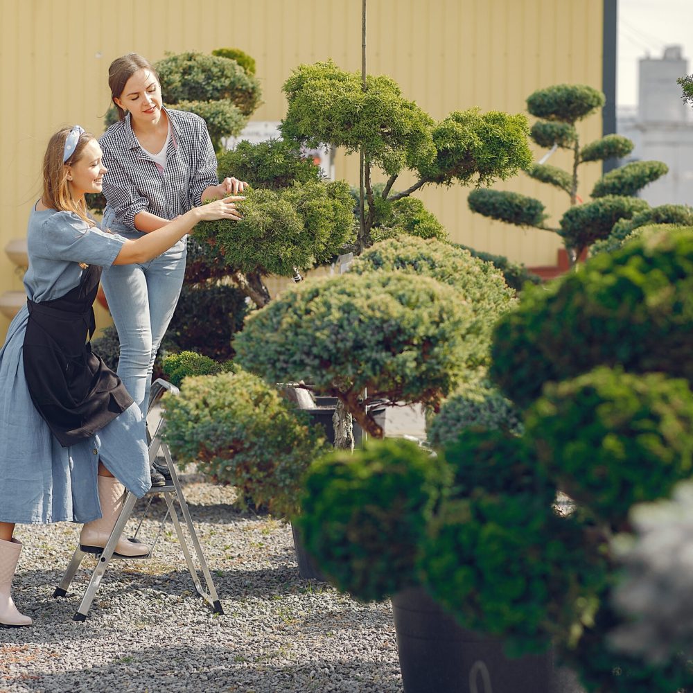 Transform Your Yard: Landscaping Near Me Morgan Hill