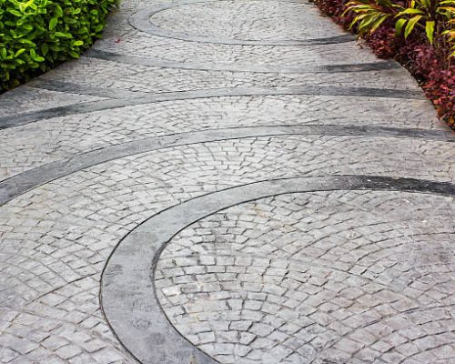 decorative plants at sidewalk