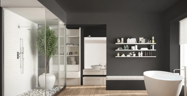 Top-rated Walk-in Tub and Shower Combo Installation in Reno NV