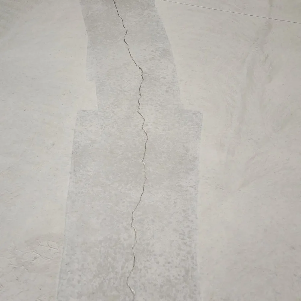 telnyx_media_1749236433151_tSBrJ8xwL