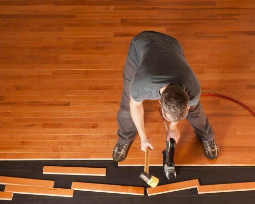 image_search_1695252791677