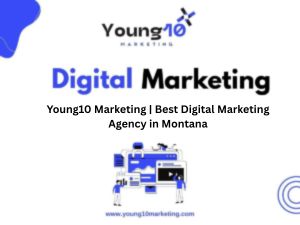 Young10 Marketing | Best Digital Marketing Agency in Montana