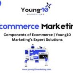 Components of Ecommerce | Young10 Marketing’s Expert Solutions