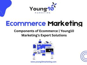 Components of Ecommerce | Young10 Marketing’s Expert Solutions