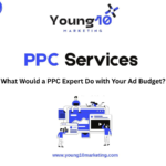 What Would a PPC Expert Do with Your Ad Budget? | Young10 Marketing