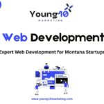 Expert Web Development for Montana Startups