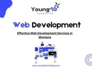 Effective Web Development Services in Montana