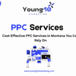 Cost-Effective PPC Services in Montana You Can Rely On