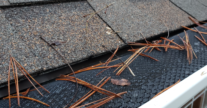Protect Your Gutters with Leaf Guard Systems in Cayce