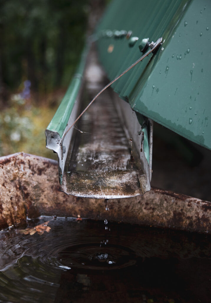 Reliable Gutter Cleaning & Maintenance in Hopkins, SC