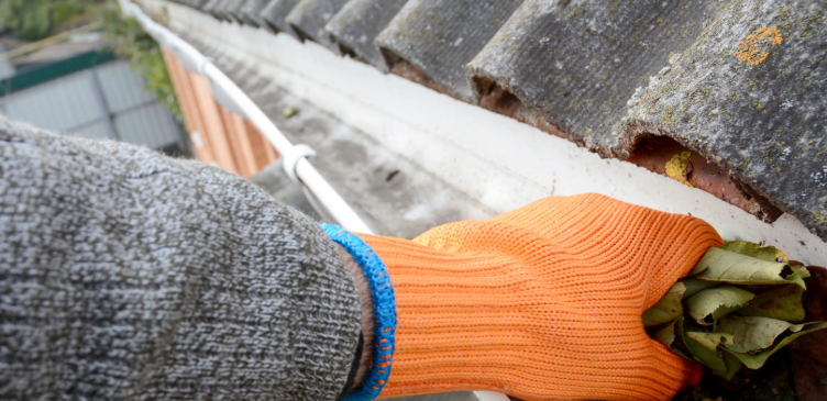 Gutter Cleaning Near Me in Chapin, SC: Protecting Your Home Made Easy