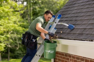 Professional Gutter Inspection Service in Lexington SC